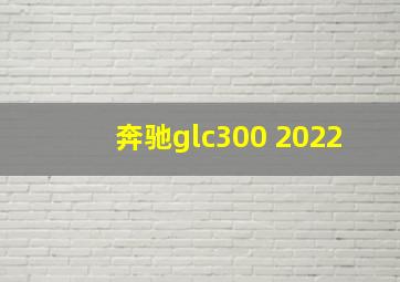 奔驰glc300 2022